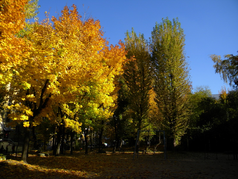 фото