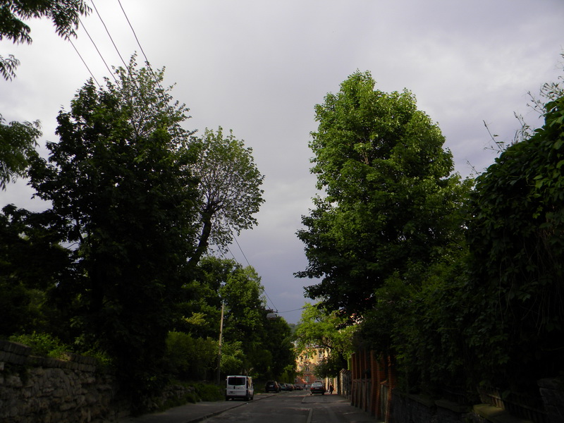 фото