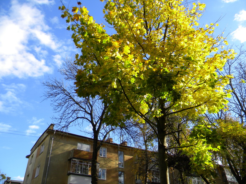 фото